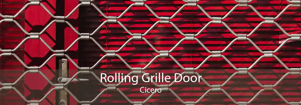 Rolling Grille Door Cicero