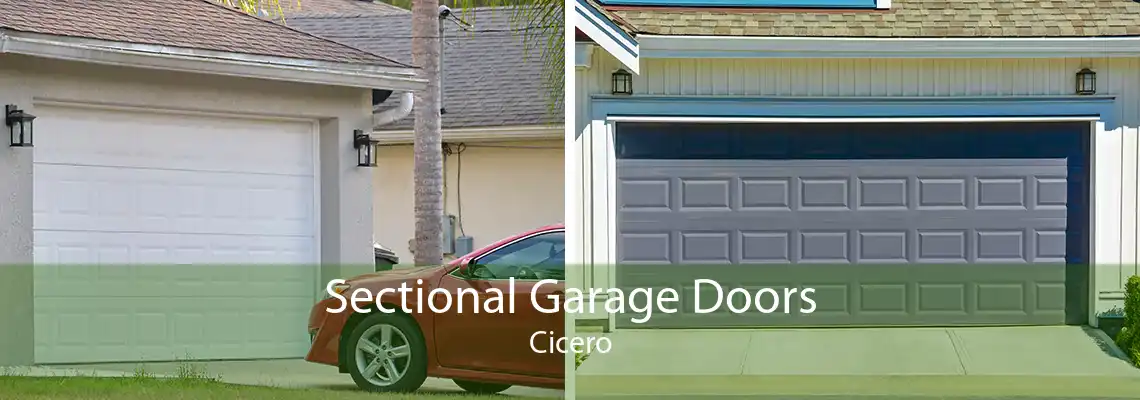 Sectional Garage Doors Cicero