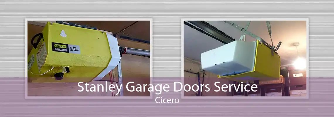 Stanley Garage Doors Service Cicero