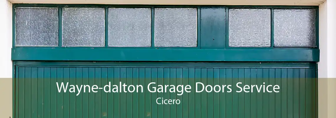 Wayne-dalton Garage Doors Service Cicero